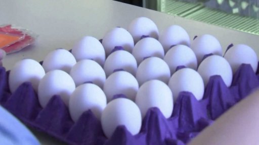 Vysoká cena vajec před Velikonocemi ve světě