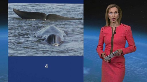 Zajímavé údaje dne