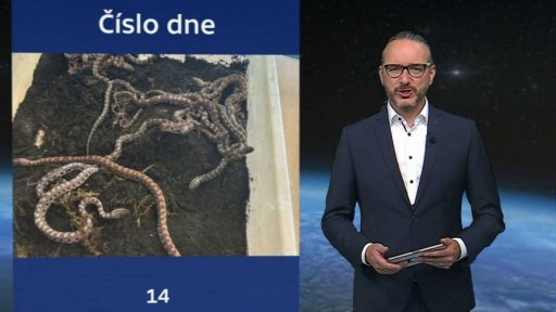 Zajímavé údaje dne