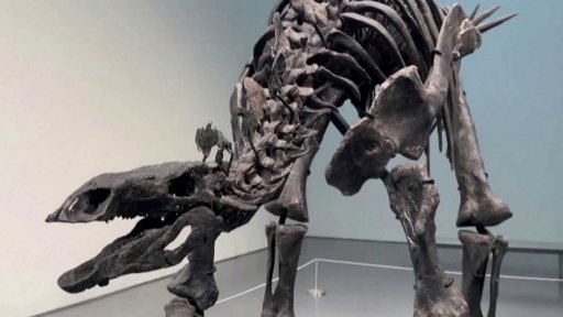 Kostra stegosaura za více než miliardu korun