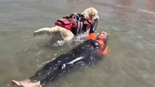 Itálie: plavčíci v kožichu