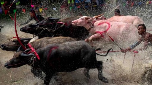 Zajímavé údaje dne