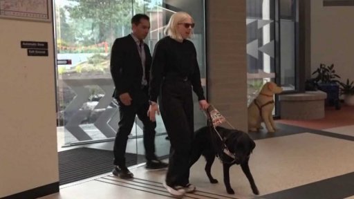 Revoluční kampus pro výcvik asistenčních psů