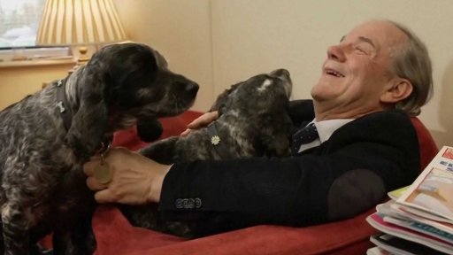 Přibývá naklonovaných domácích mazlíčků