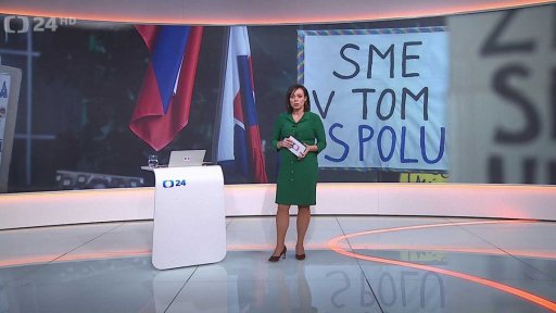 Stručný přehled témat