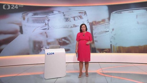 Stručný přehled témat