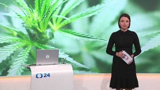 Stručný přehled témat