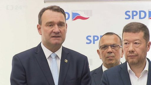 Strany po volbách do Evropského parlamentu