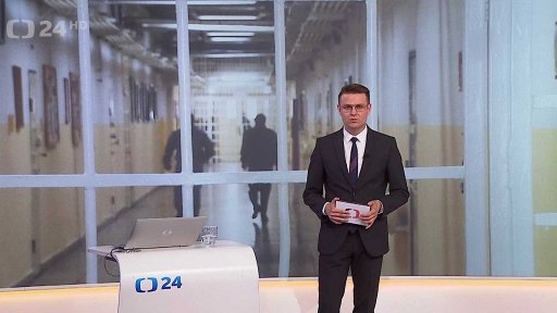 Reforma trestní politiky