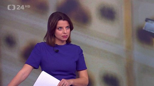 Jak moc má prezident mluvit do rozpočtu