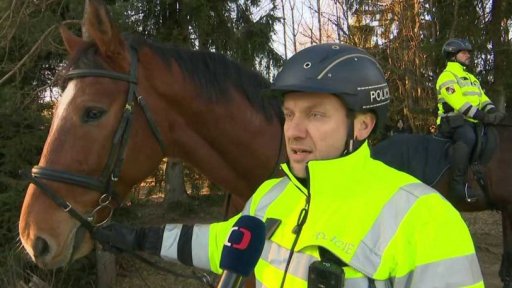 Jízdní koně se vracejí do českých měst