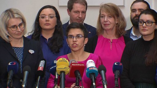 Partnerství pro stejnopohlavní páry