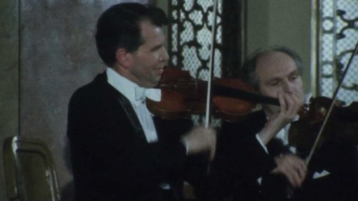 Houslista Jiří Novák