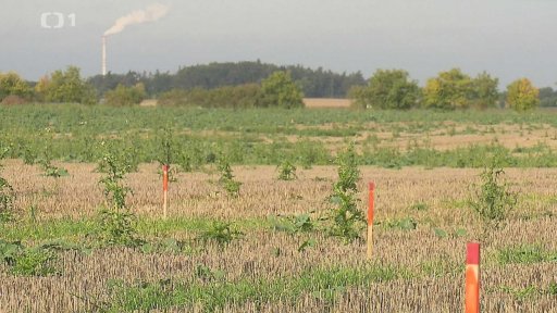 Archeologové na okruhu