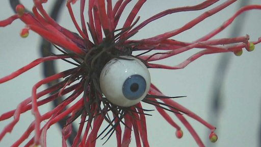 Tim Burton vystavuje v Praze