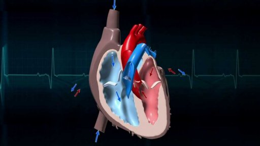 40 let od první transplantace srdce v Česku