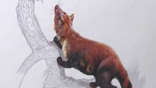 Čeští vědci popsali tzv. šelmu z Valče