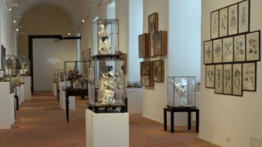 Art týden: výstava Designo Interno k poctě manželům Švankmajerovým