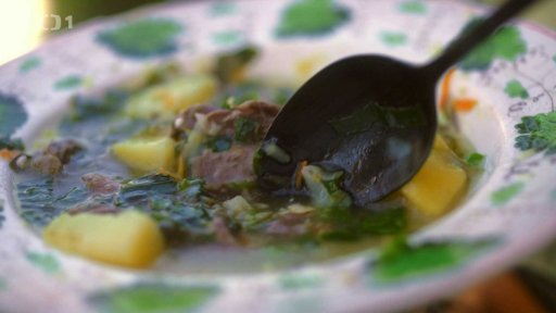 Jarní polévka - zelený boršč