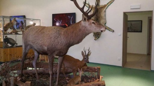 Návštěvnické centrum Šumavy a Environmentální centrum Železná Ruda