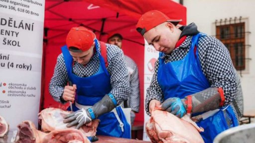 Špilberk žije masopustem!