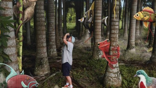 Sopka les prales Elišky Podzimkové