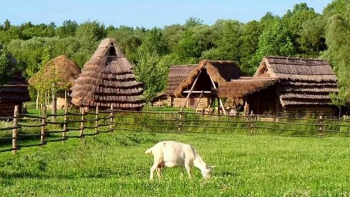 Zatoulaná zvířátka v Zeměráji