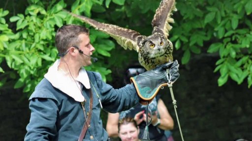 Dravci přilétají aneb sokolníci na hradě Hukvaldy