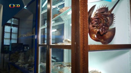 Vlastivědné muzeum a galerie v České Lípě