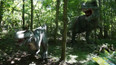 DinoPark Vyškov