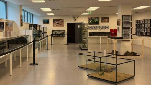 Cesta životem a přírodou - Okouzlen hady a brouky