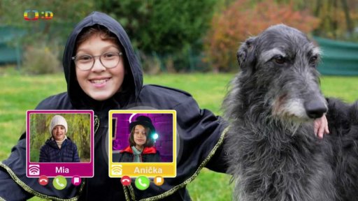 Příroda: Deerhound