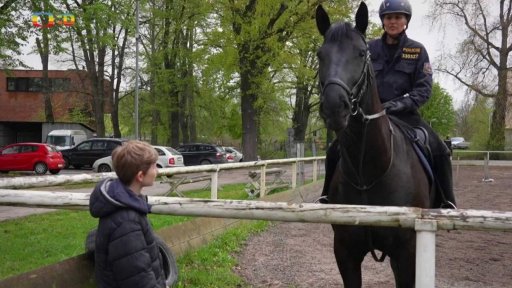 Příroda: Policejní koně