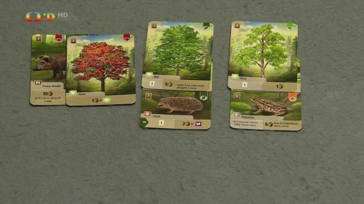 Deskovka: Smíšený les