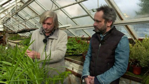 Exotické byliny a jejich pěstování