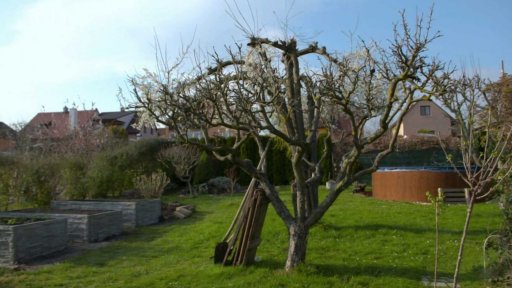 Jarní hnojení a příprava záhonů