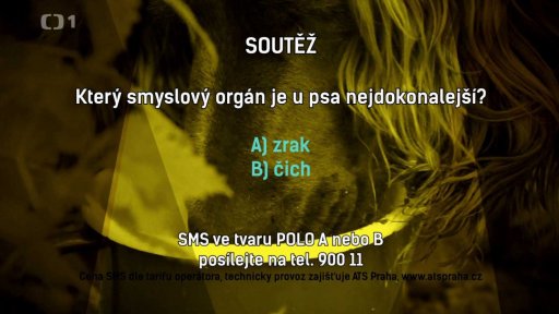 Soutěž POLO