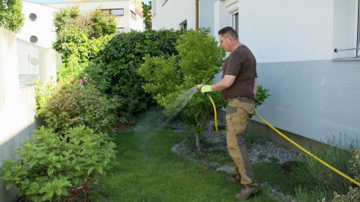 Jak udržet trávník v kondici i přes horké léto