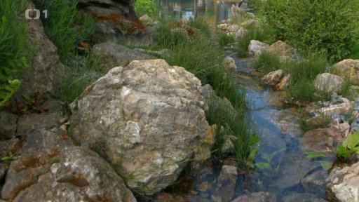 Zahrada s vodním prvkem