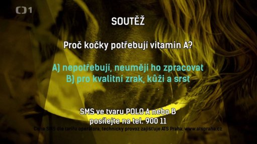 Soutěž POLO