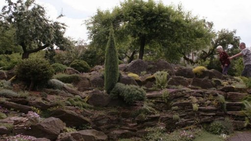 Skalničkář radí, jak si založit skalku