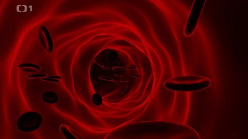 Hojení drobných ran u diabetiků