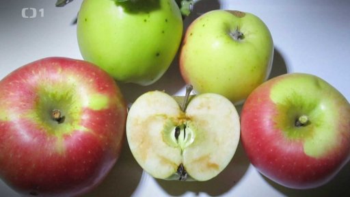 Jak a kdy sklízet jablka a hrušky