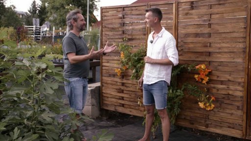 Fíky a bahenní ibišky