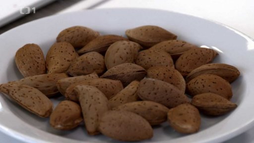 Jedovaté – ano nebo ne?