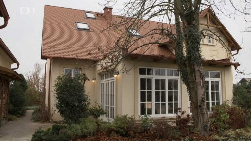 Stálezelený kout v zahradě