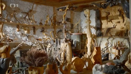 Samorosty světové i filmové