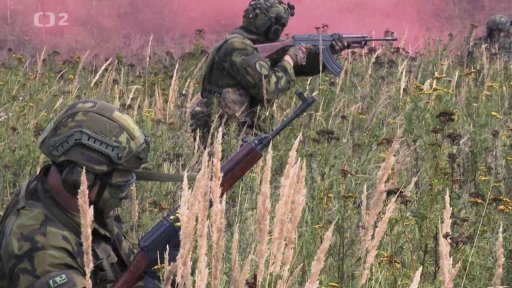 Aktivní záloha Ozbrojených sil ČR