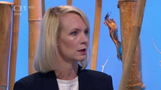 Vztahy - třetí rodič