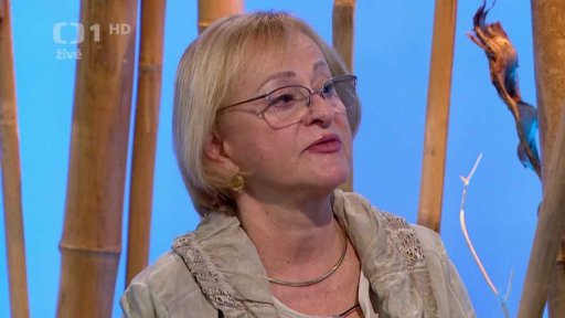 Nakažení od klíštěte